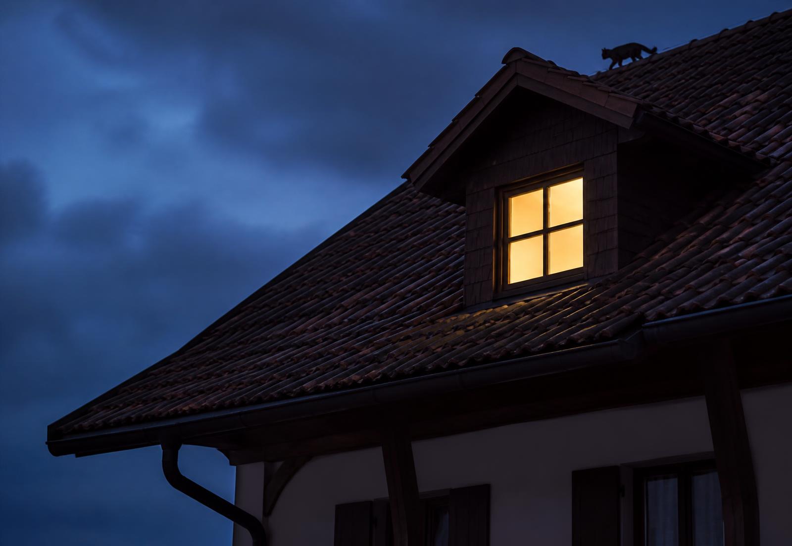 Bayerisches Hausdach in der Dämmerung mit Marder auf dem Dachfirst